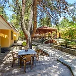 Valley 3* Платрес