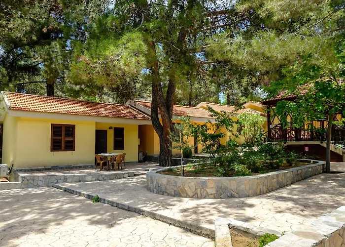 Valley Πλάτρες